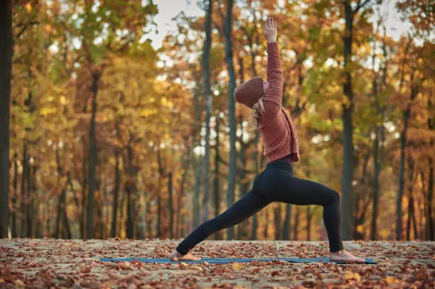 Atelier : Pratiques d’automne